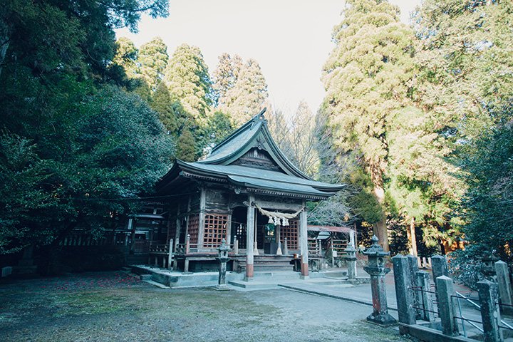 💧 시라카와 수원(시라카와스이겐) 이미지 6
